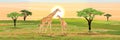 Adult giraffe mother and her little baby giraffe. African savannah. Realistic vector landscape. The nature of Africa